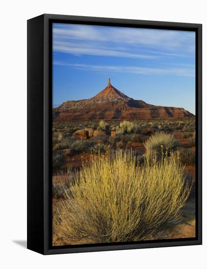 Rabbit Brush and Blackburn on Flats Below North Six-Shooter Peak, Canyonlands National Park, Utah-Scott T. Smith-Framed Premier Image Canvas