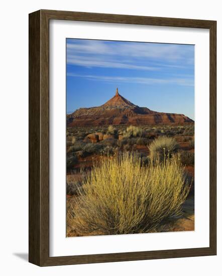 Rabbit Brush and Blackburn on Flats Below North Six-Shooter Peak, Canyonlands National Park, Utah-Scott T. Smith-Framed Photographic Print