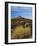 Rabbit Brush and Blackburn on Flats Below North Six-Shooter Peak, Canyonlands National Park, Utah-Scott T. Smith-Framed Photographic Print