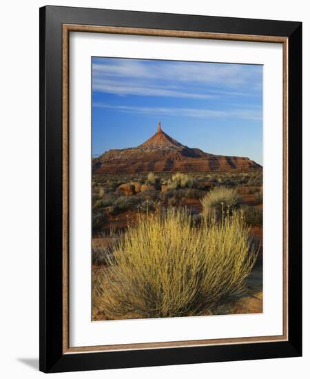 Rabbit Brush and Blackburn on Flats Below North Six-Shooter Peak, Canyonlands National Park, Utah-Scott T. Smith-Framed Photographic Print