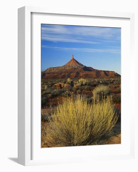 Rabbit Brush and Blackburn on Flats Below North Six-Shooter Peak, Canyonlands National Park, Utah-Scott T. Smith-Framed Photographic Print