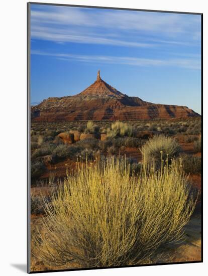 Rabbit Brush and Blackburn on Flats Below North Six-Shooter Peak, Canyonlands National Park, Utah-Scott T. Smith-Mounted Photographic Print