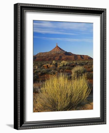 Rabbit Brush and Blackburn on Flats Below North Six-Shooter Peak, Canyonlands National Park, Utah-Scott T. Smith-Framed Photographic Print