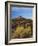 Rabbit Brush and Blackburn on Flats Below North Six-Shooter Peak, Canyonlands National Park, Utah-Scott T. Smith-Framed Photographic Print