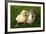 Rabbit Bunny And Duckling Are Friends-Richard Peterson-Framed Photographic Print