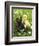 Rabbit Bunny And Duckling Best Friends-Richard Peterson-Framed Photographic Print