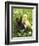 Rabbit Bunny And Duckling Best Friends-Richard Peterson-Framed Photographic Print