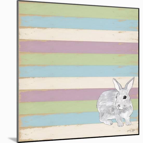 Rabbit Grey-Tammy Kushnir-Mounted Giclee Print