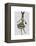 Rabbit in Black White Dress-Fab Funky-Framed Stretched Canvas