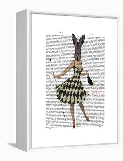 Rabbit in Black White Dress-Fab Funky-Framed Stretched Canvas