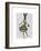 Rabbit in Black White Dress-Fab Funky-Framed Premium Giclee Print