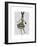 Rabbit in Black White Dress-Fab Funky-Framed Premium Giclee Print