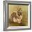 Rabbit in Columbine-Judy Mastrangelo-Framed Giclee Print