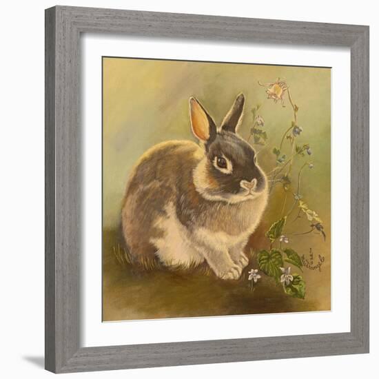 Rabbit in Columbine-Judy Mastrangelo-Framed Giclee Print