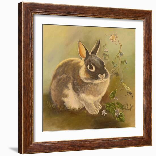 Rabbit in Columbine-Judy Mastrangelo-Framed Giclee Print