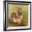 Rabbit in Columbine-Judy Mastrangelo-Framed Giclee Print