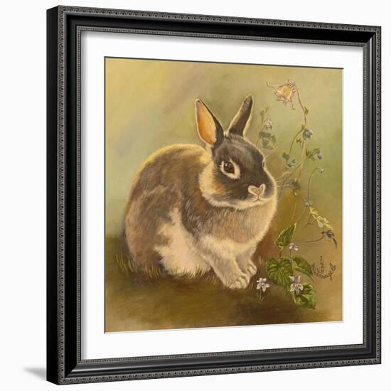 Rabbit in Columbine-Judy Mastrangelo-Framed Giclee Print