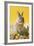 Rabbit in Egg Shell with Easter Eggs-null-Framed Photographic Print