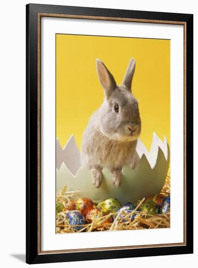 Rabbit in Egg Shell with Easter Eggs-null-Framed Photographic Print