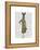 Rabbit In Mustard Dress-Fab Funky-Framed Stretched Canvas