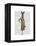 Rabbit In Mustard Dress-Fab Funky-Framed Stretched Canvas