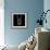 Rabbit on Black-Lisa Kroll-Framed Premium Giclee Print displayed on a wall