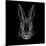 Rabbit on Black-Lisa Kroll-Mounted Art Print