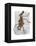 Rabbit on Penny Farthing-Fab Funky-Framed Stretched Canvas