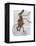 Rabbit on Penny Farthing-Fab Funky-Framed Stretched Canvas