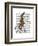 Rabbit on Penny Farthing-Fab Funky-Framed Art Print