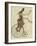 Rabbit on Penny Farthing-Fab Funky-Framed Art Print