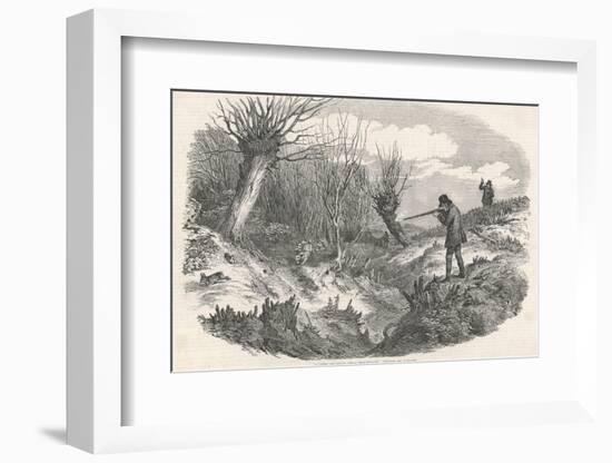 Rabbit Shooting Near Tunbridge Kent-Duncan-Framed Photographic Print