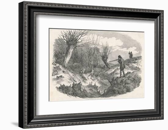 Rabbit Shooting Near Tunbridge Kent-Duncan-Framed Photographic Print