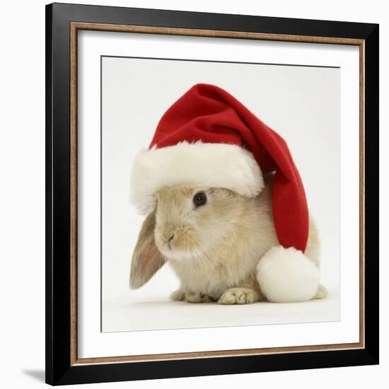 Rabbit Wearing a Father Christmas Hat-Jane Burton-Framed Photographic Print