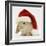 Rabbit Wearing a Father Christmas Hat-Jane Burton-Framed Photographic Print