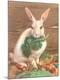 Premium Giclee Print