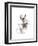 Rabbit-Philippe Debongnie-Framed Art Print