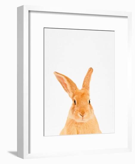 Rabbit-Tai Prints-Framed Photographic Print
