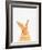 Rabbit-Tai Prints-Framed Photographic Print