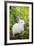 Rabbit-null-Framed Photographic Print