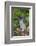 Rabbit-Lynn M^ Stone-Framed Photographic Print