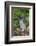 Rabbit-Lynn M^ Stone-Framed Photographic Print