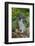 Rabbit-Lynn M^ Stone-Framed Photographic Print