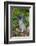 Rabbit-Lynn M^ Stone-Framed Photographic Print