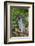 Rabbit-Lynn M^ Stone-Framed Photographic Print