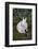 Rabbit-Lynn M^ Stone-Framed Photographic Print