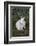 Rabbit-Lynn M^ Stone-Framed Photographic Print