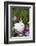 Rabbit-Lynn M^ Stone-Framed Photographic Print