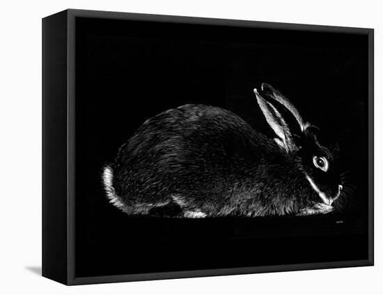 Rabbit-Geraldine Aikman-Framed Premier Image Canvas