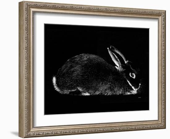 Rabbit-Geraldine Aikman-Framed Giclee Print